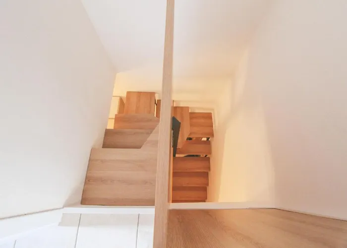 Mimosa 24 Appartement